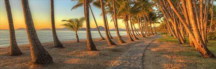 Palm Cove - QLD H (PBH4 00 14924)